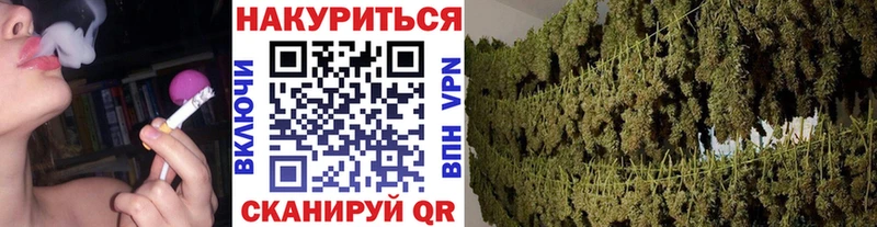 Бошки Шишки MAZAR Шенкурск